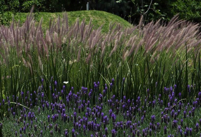 Quinta Tonantzin Hotel Boutique