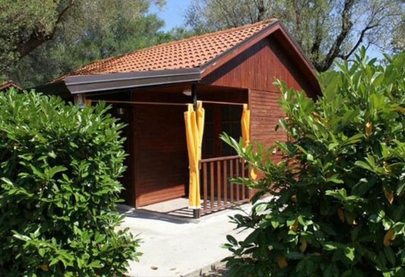 דירת נופש Summer Paradise