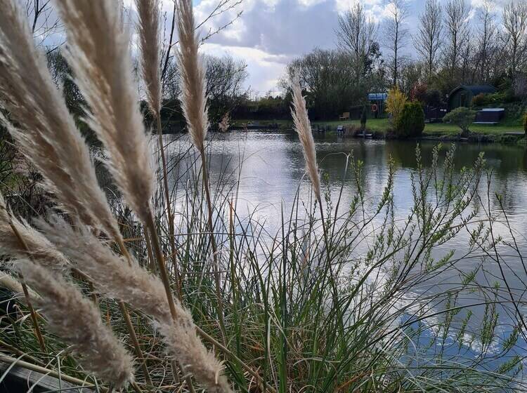 渡假胜地  Green Haven