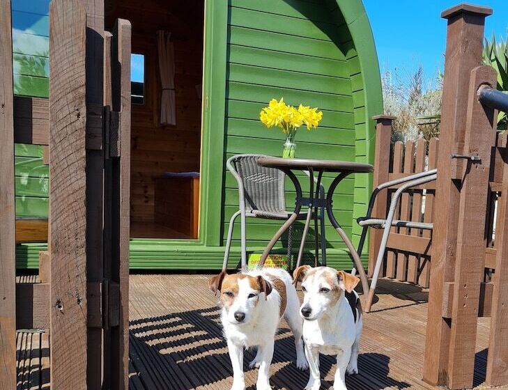 渡假胜地  Green Haven