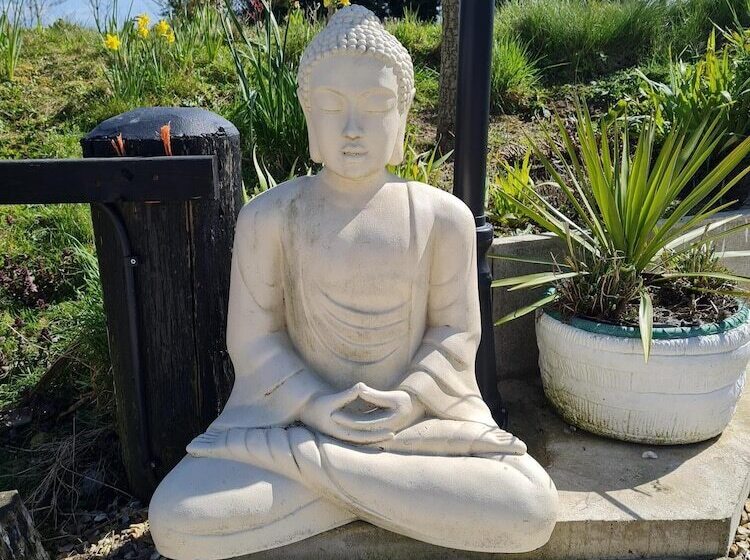 渡假胜地  Green Haven