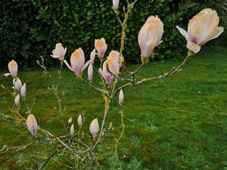 渡假胜地  Green Haven