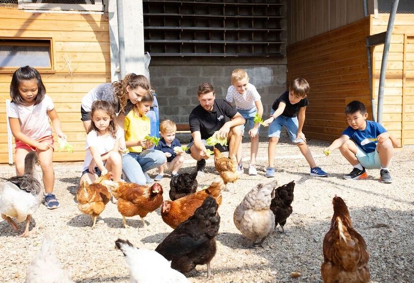 Курорт Les Etangs De La Bassee