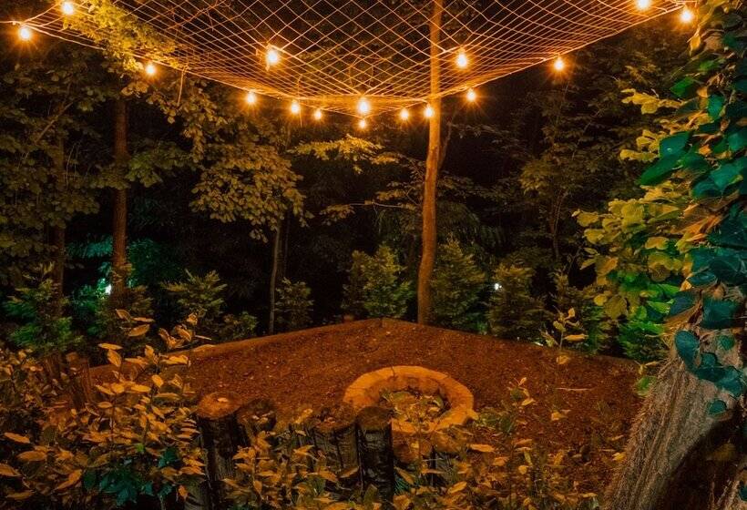 Sapanca Casamia Suit