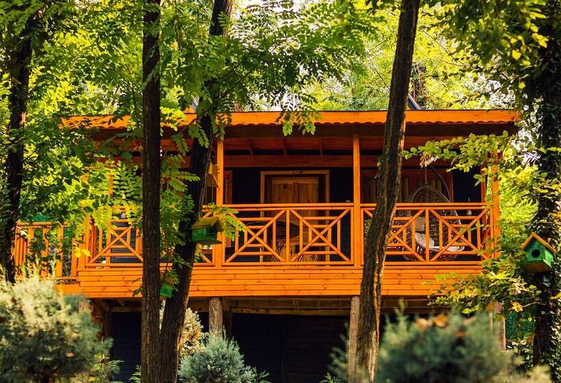 Sapanca Casamia Suit