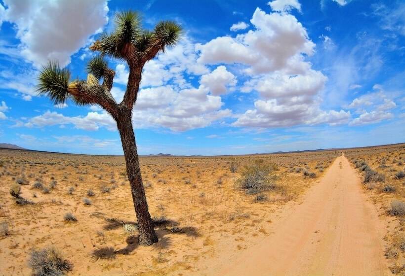 Unique Off Grid Desert Retreat, California, Usa