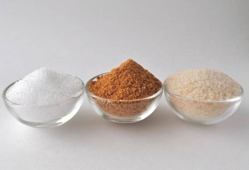 Yangpyeong Beulleosseom Pet Spa Pension