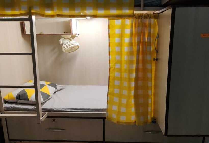 Abuzz Oxfordcaps Shimla   Hostel