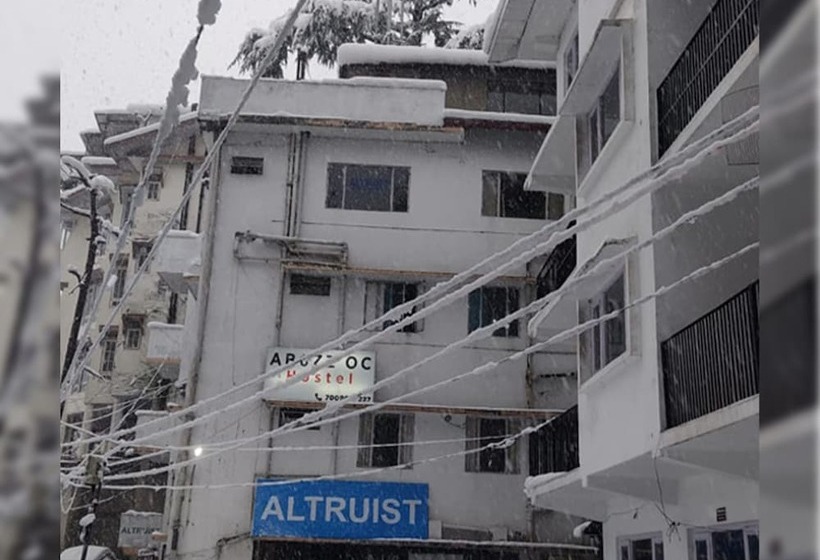 Abuzz Oxfordcaps Shimla   Hostel