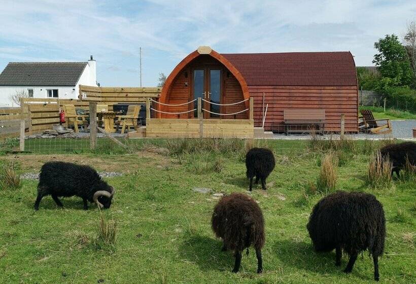 Achmeney Glamping Pod Larger Than Average Pod