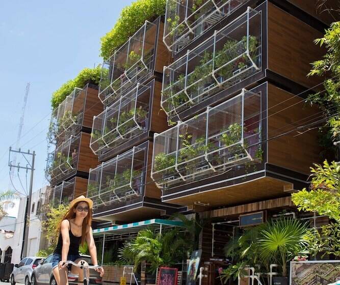 ユースホステル Reina Roja Hostal