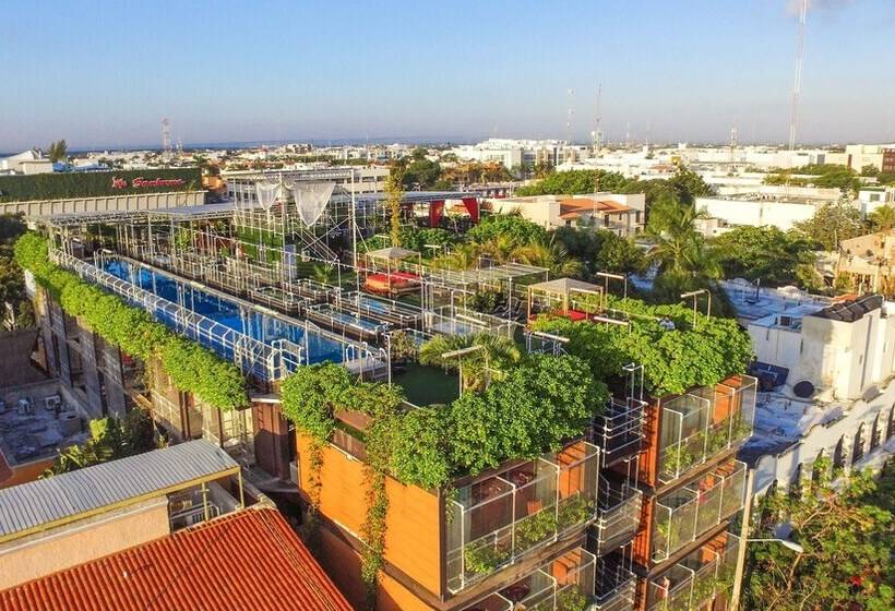 ユースホステル Reina Roja Hostal