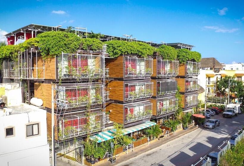 ユースホステル Reina Roja Hostal