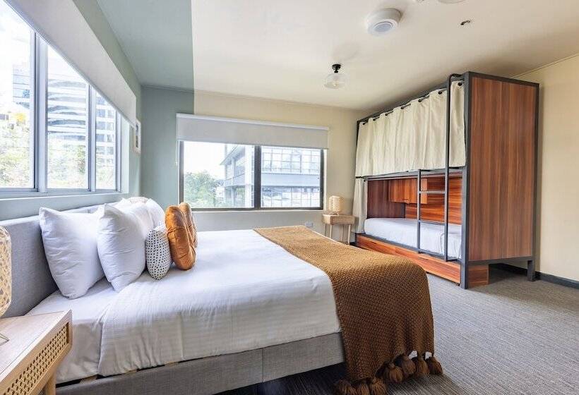 旅馆 Roamer Brisbane