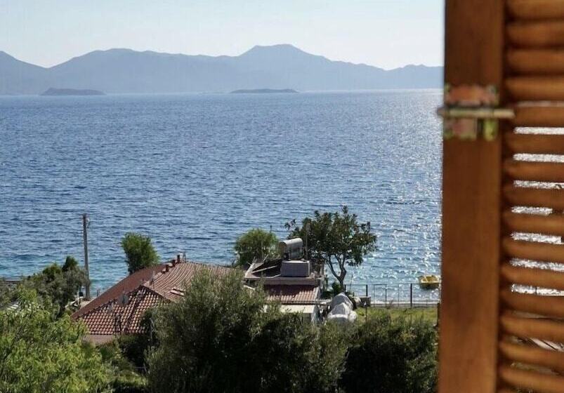 مبيت وإفطار 7 Oda