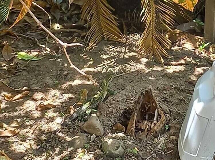 مبيت وإفطار Donde Familia Manito