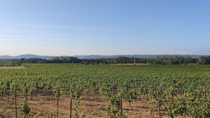 Bed and Breakfast Eco Lodges Lodges In Move   Domaine De Brau