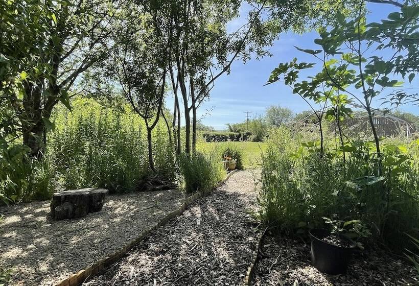 ベッドアンドブレックファースト Moorview House