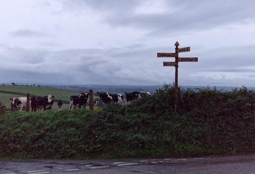 ベッドアンドブレックファースト Moorview House