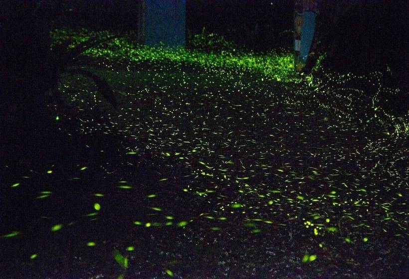 تختخواب و صبحانه Nanyang62