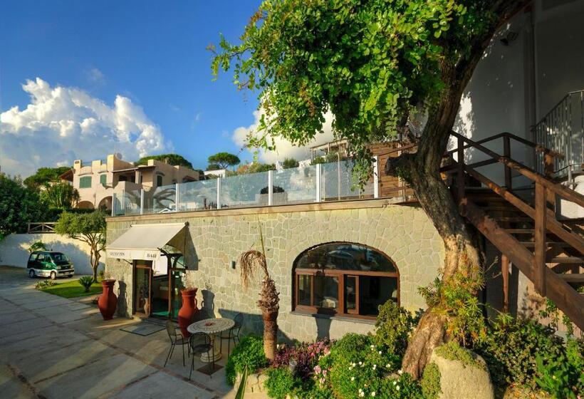 Bed and Breakfast Wellness And Relaxing Time In Ischia Per 16 People