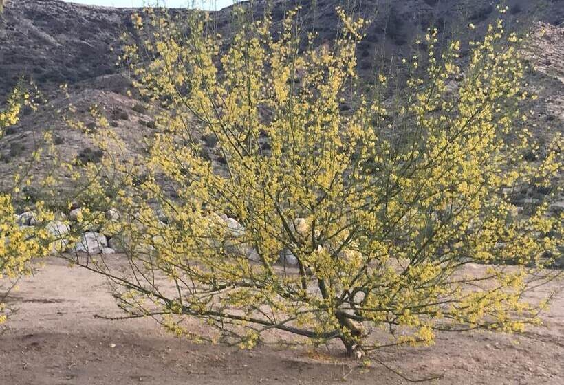 ベッドアンドブレックファースト Starlight Boutique