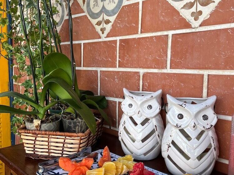 Bed and Breakfast Villa Lulu Geribá