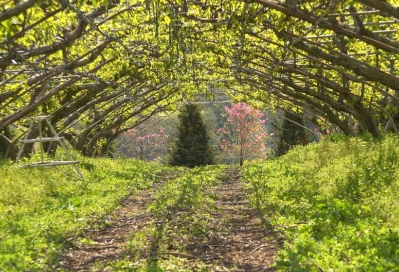 Boseong Carmel Royal Pension