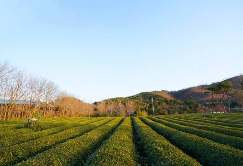 Boseong Carmel Royal Pension