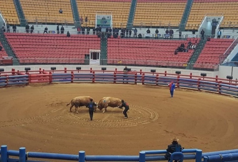 Cheongdo Persimmon Ville Pension
