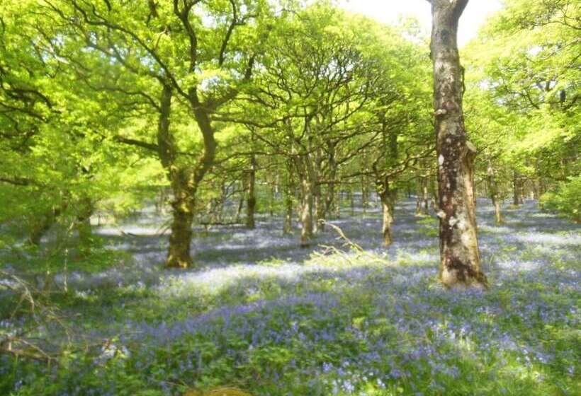 Relaxing Pet Friendly 2 Bed Cottage In Rhandirmwyn