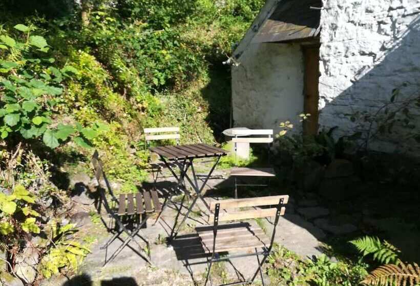 Relaxing Pet Friendly 2 Bed Cottage In Rhandirmwyn