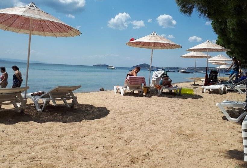 Demetgul Apart Pansiyon