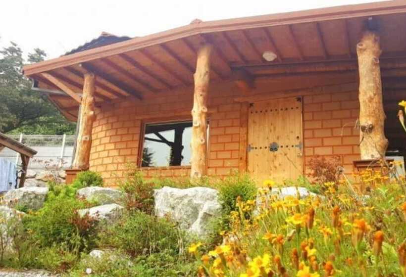 Donghae Red Clay Gueasthouse Pension