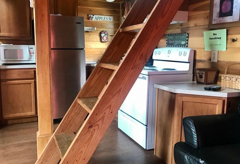 Hales Bar Marina And Resort