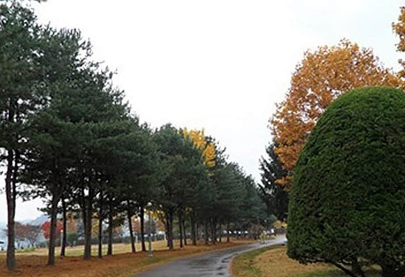 Hongcheon Oz Pension