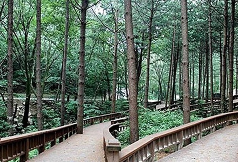 Hongcheon Oz Pension