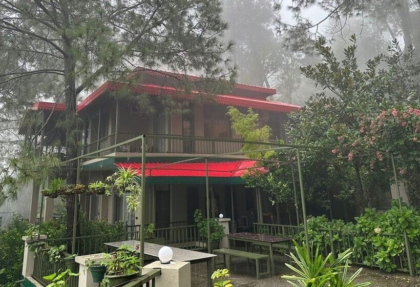 Отель 7 Pines Kasauli