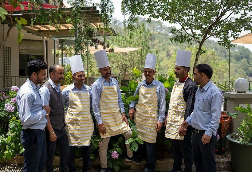 Отель 7 Pines Kasauli