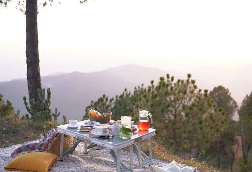 호텔 7 Pines Kasauli