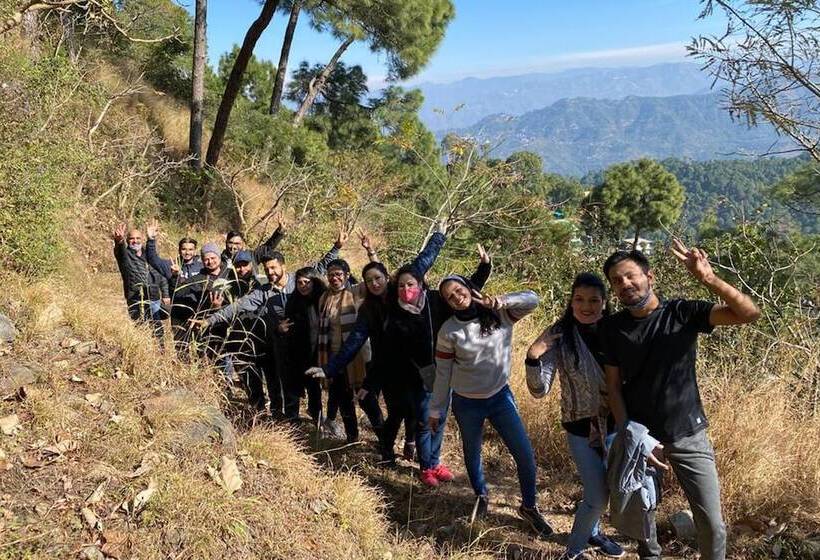 Отель 7 Pines Kasauli