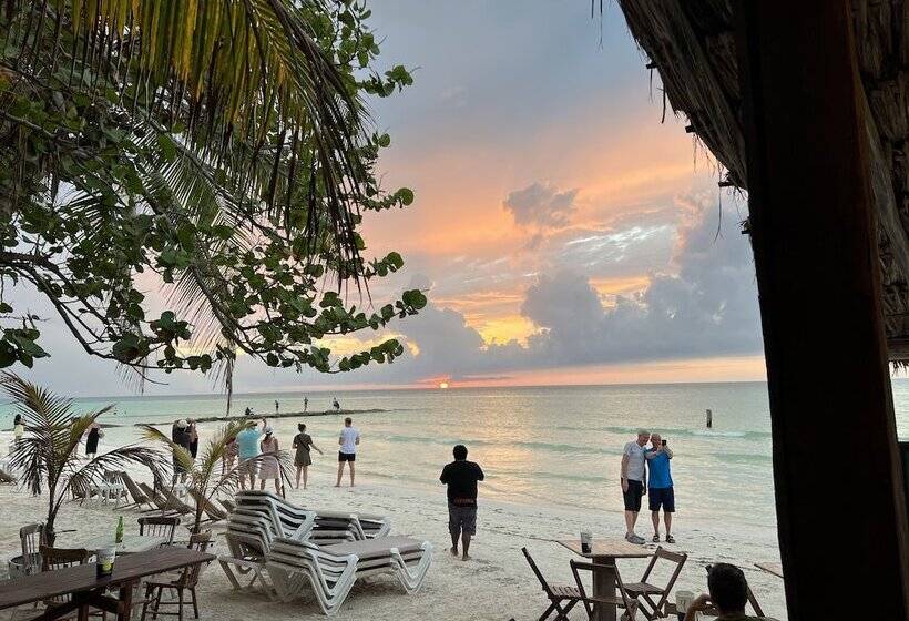 בית מלון כפרי Beach Club Escape Holbox