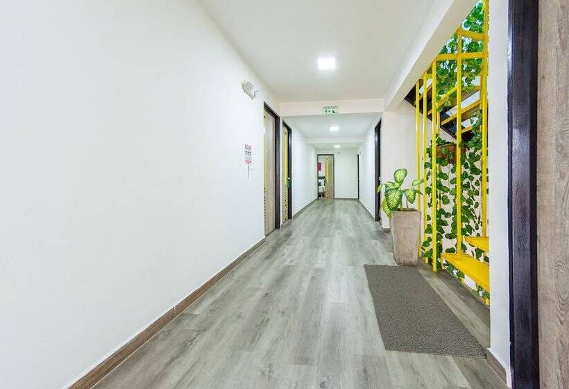 בית מלון כפרי Ayenda Bee