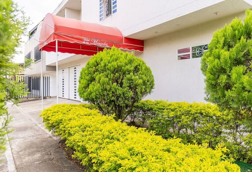 هتل Ayenda De Las Mercedes