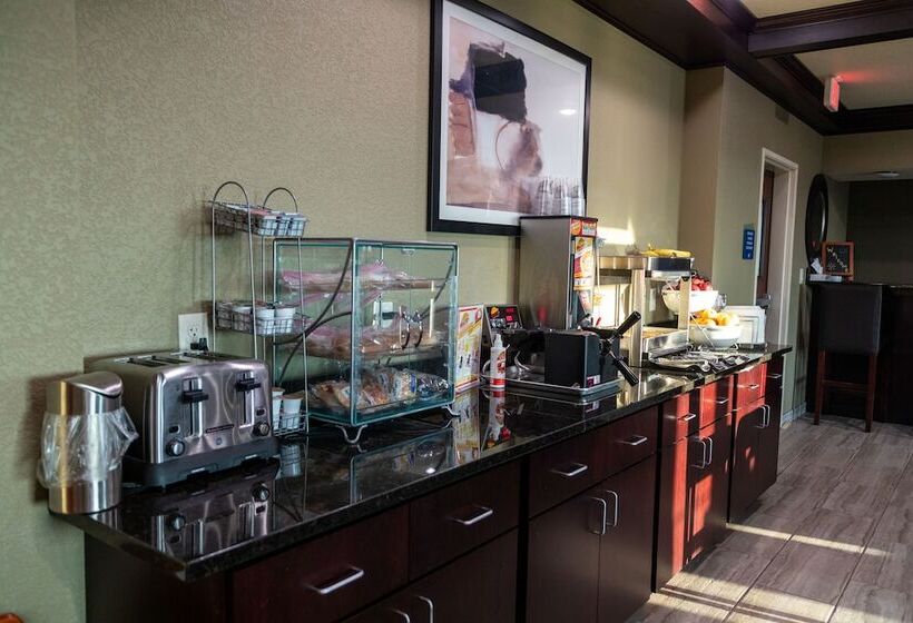 فندق Cobblestone Inn & Suites  Springfield