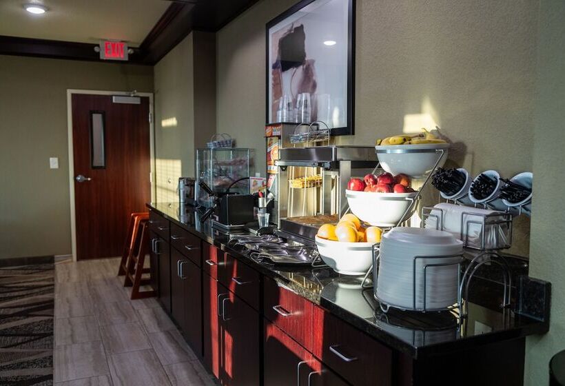 فندق Cobblestone Inn & Suites  Springfield