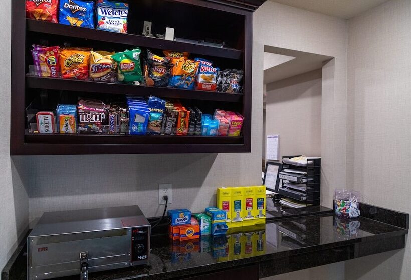 فندق Cobblestone Inn & Suites  Springfield