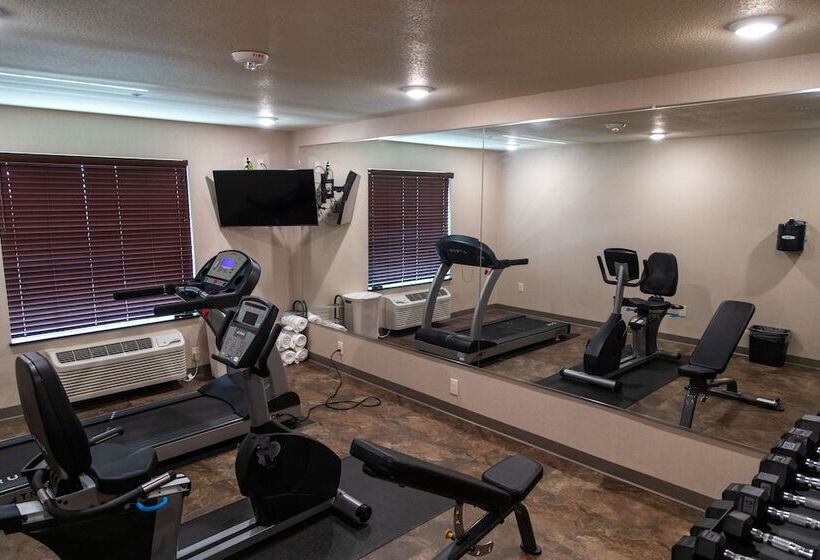 فندق Cobblestone Inn & Suites  Springfield