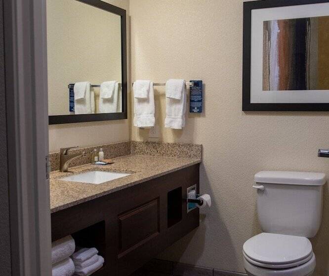 فندق Cobblestone Inn & Suites  Springfield