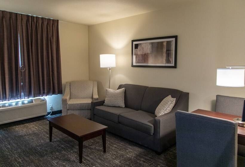 فندق Cobblestone Inn & Suites  Springfield